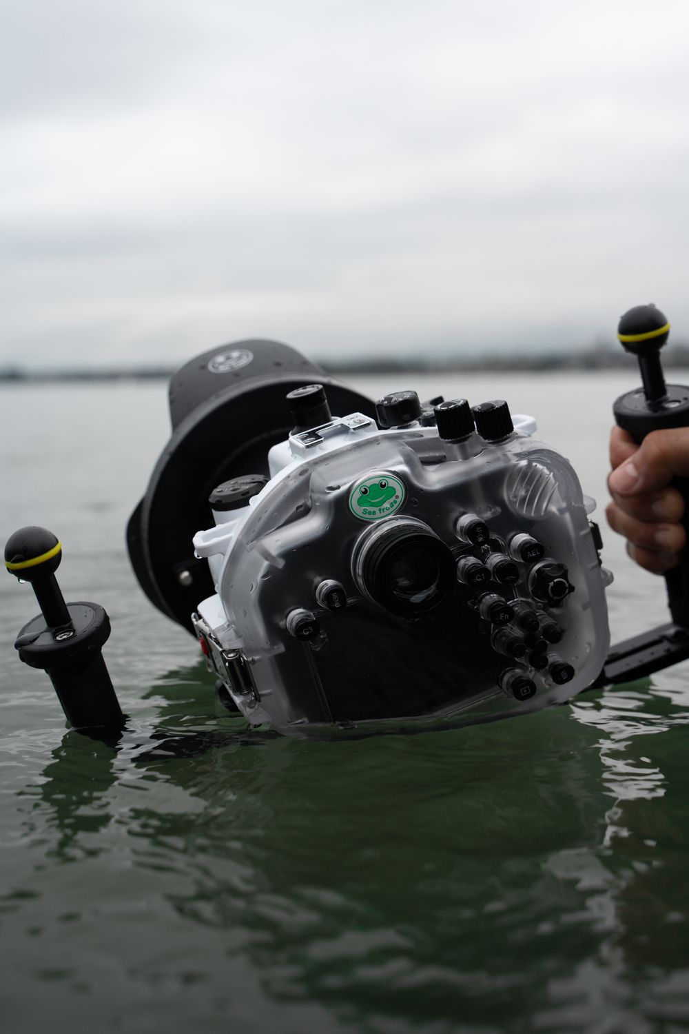 Photo dans l'eau de la camera avec le caisson étanche